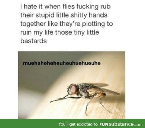 Sneaky flies