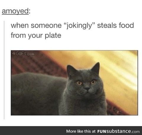 No one steals my food!