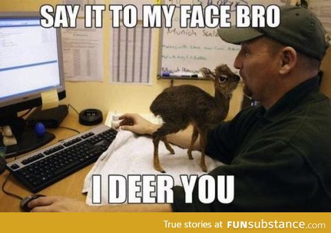 Come on man I deer you