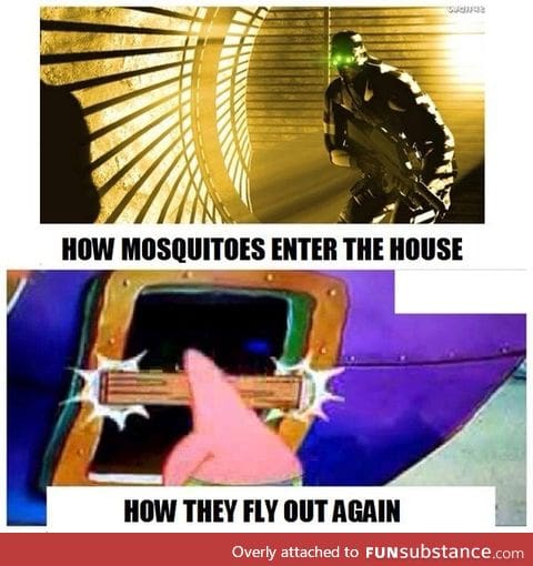 Scumbag mosquito