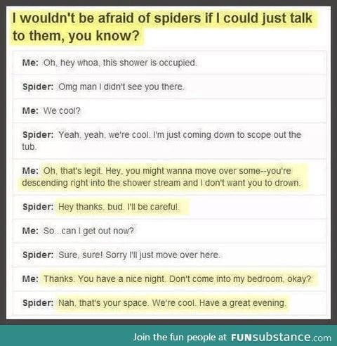 The spider, man