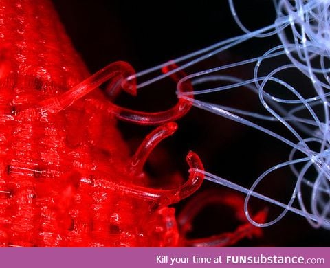 Velcro under a microscope