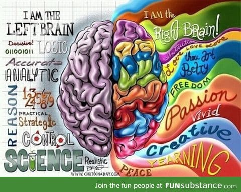 What side of the brain are you?
