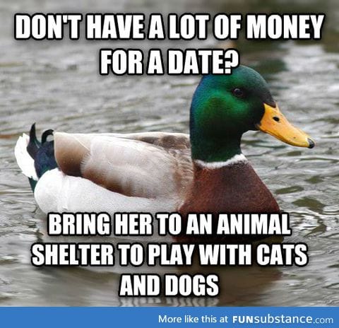 Actual advice mallard