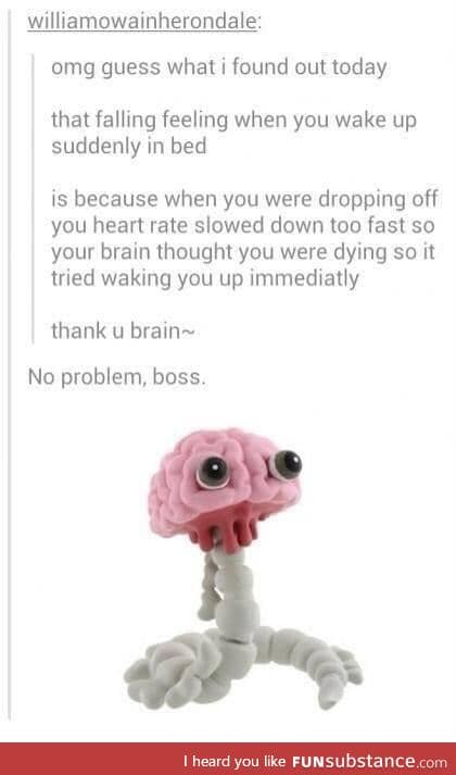 Aww, good ole' brain :D