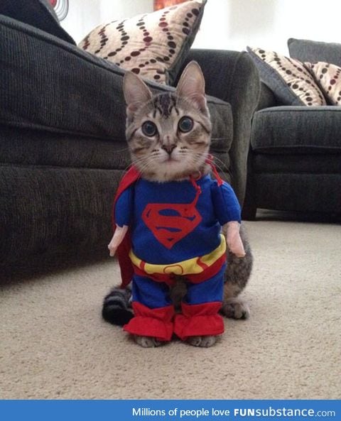 I present you, supercat