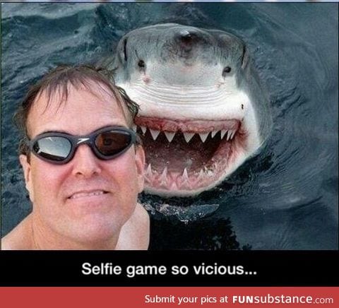 Dangerous selfie