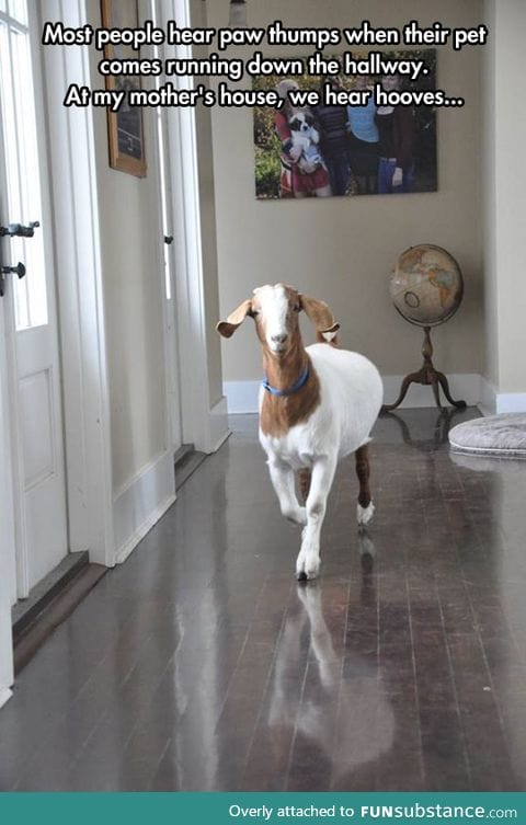 Goat simulator: Home edition