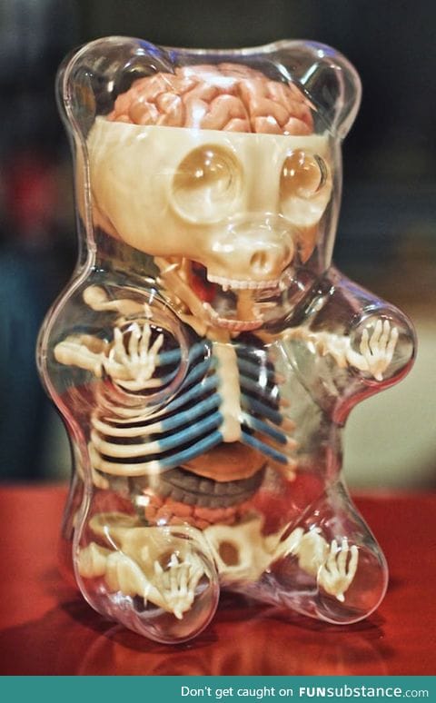 The Inside Of a Gummy Bear