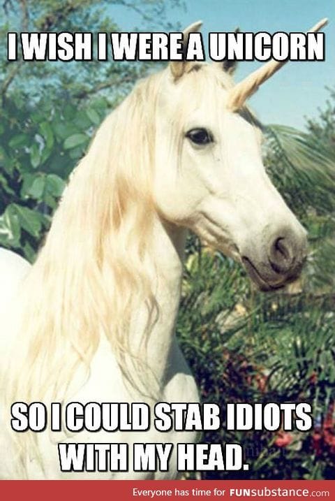 I wish I were a unicorn