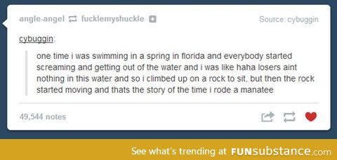Riding a manatee?  That's amazing!