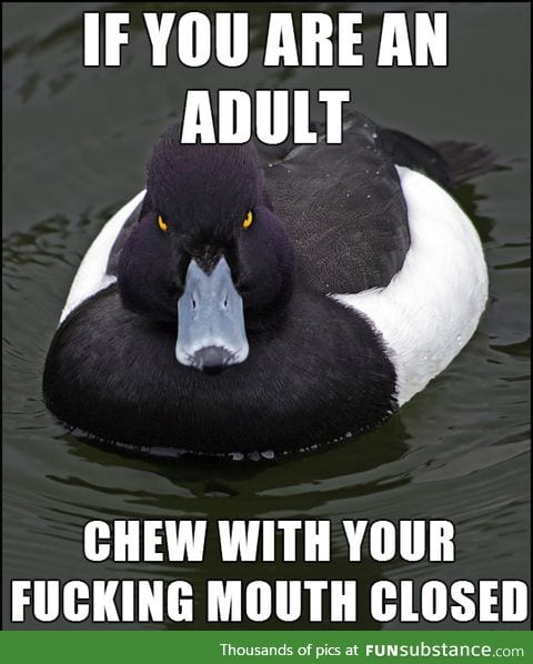 Angry advice duck