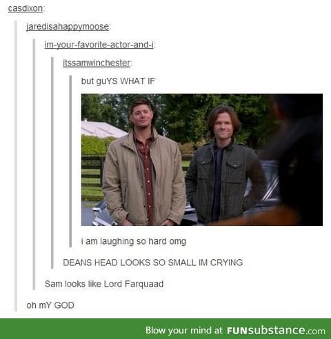 Weird, you could say it's supernatural
