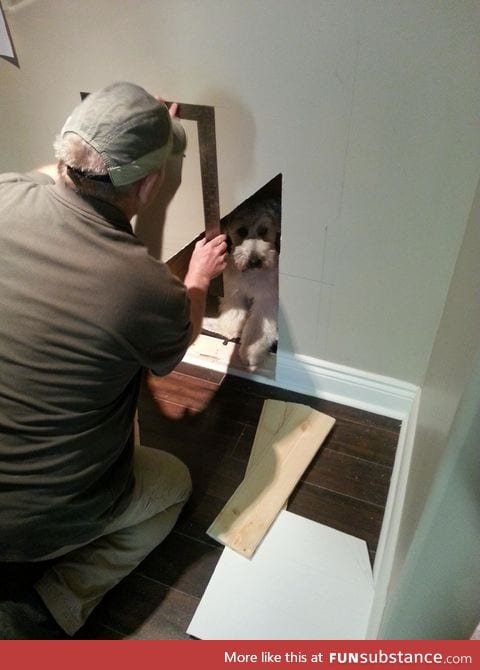 My dad is building him a house under the stairs and he won't leave it