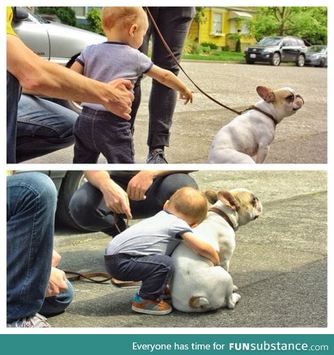 Little boy meets french bulldog