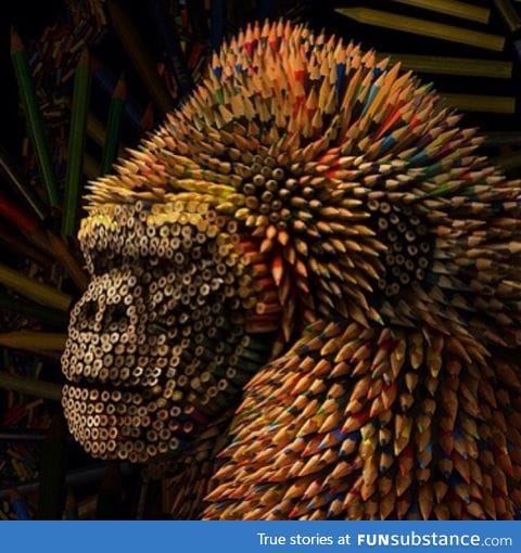 Gorilla made out of colored pencils