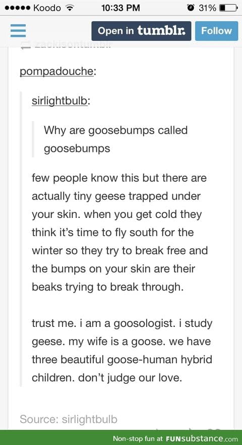 Trust me, I'm a goosologist
