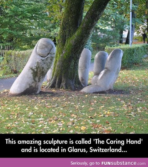 The caring hand