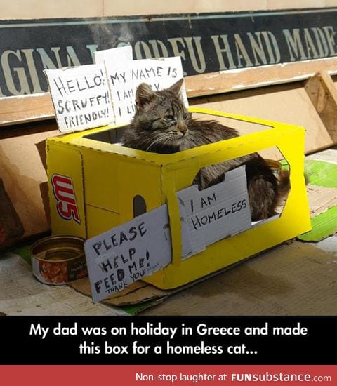 Homeless cat box