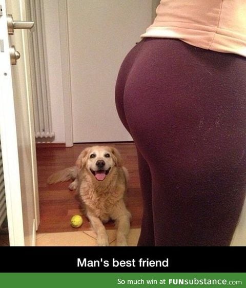 Men's best friend