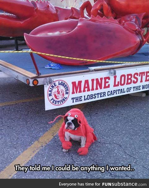 Lobster dog