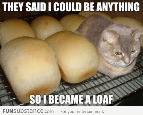 I became a loaf