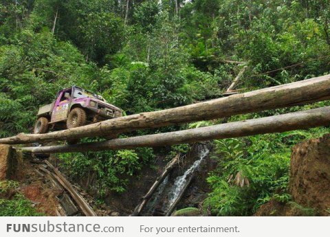 Jungle in Malaysia Crossing rivers like a boss