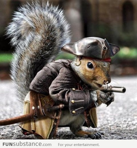 Captian Jack Squirrel