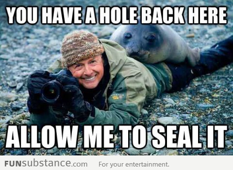 Seal joke