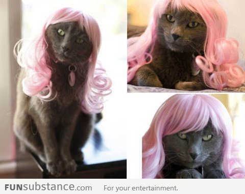 Kitty Minaj