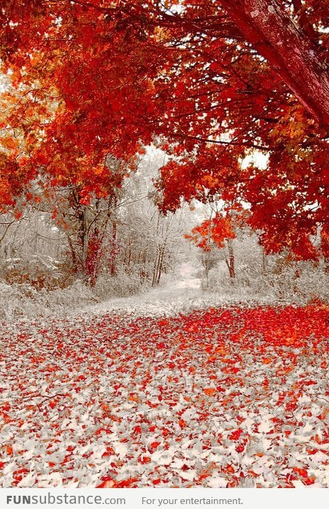 Winter and Fall Meet Each Other