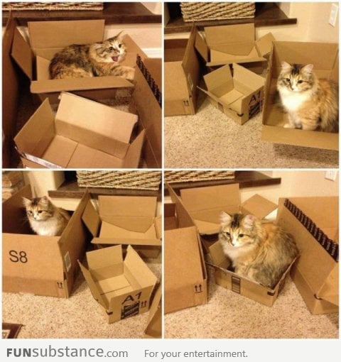 Can't decide which box