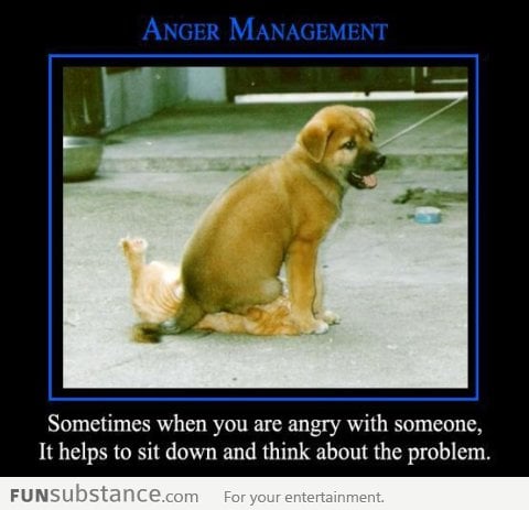 Proper Anger Management