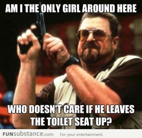 Don't care about the toilet seat