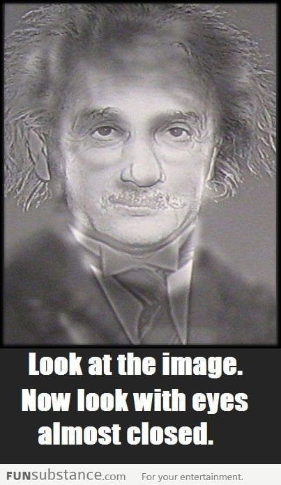 Albert Einstein or Harry Potter?