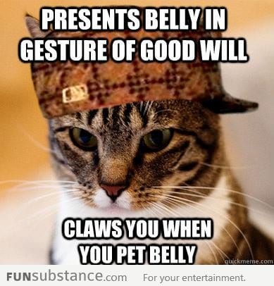 Scumbag Cat