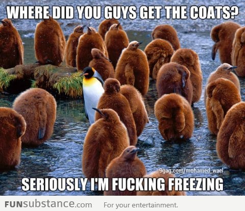 I'm freezing here!