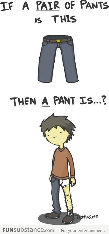 Pants vs pant?