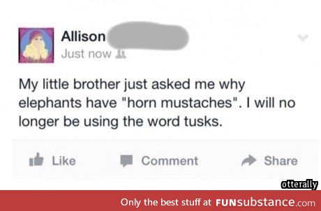 Horn mustaches