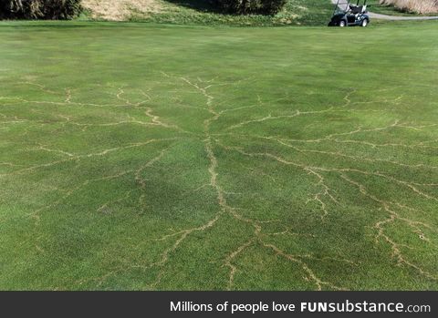 This is what lightning does to grass