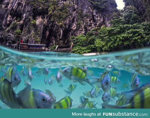 Underwater Life of Poda Island, Thailand