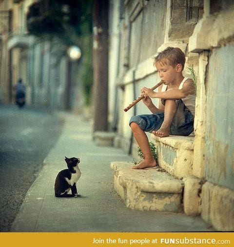Little boy playing flute to a cat