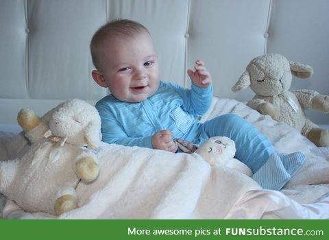 Baby looks like he's telling those sheep some real shit