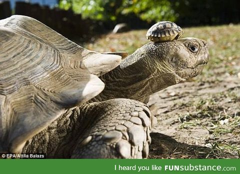 140 year old mom with her 5 day old son