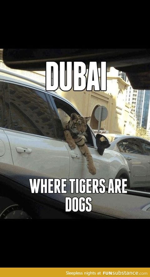 Meanwhile in Dubai