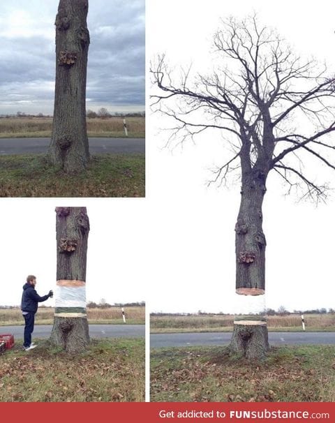 Floating tree