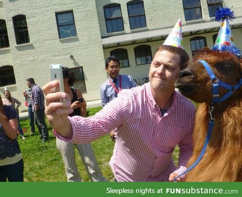 Just a guy taking a selfie with a llama in a party hat