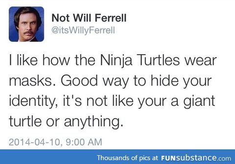 Ninja turtles mask