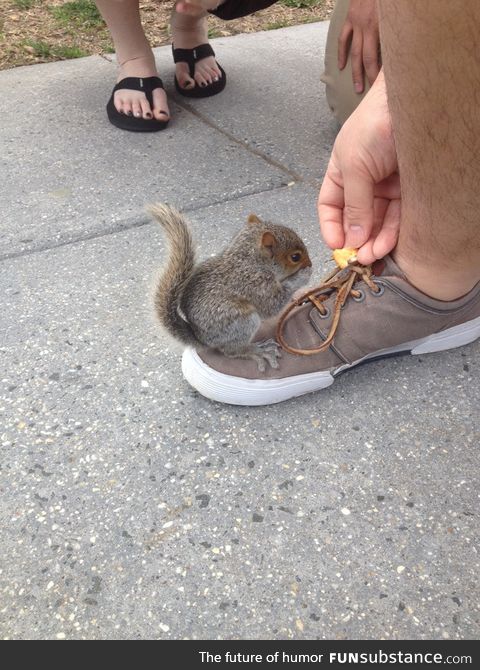 This little guy was sitting on my buddy's foot