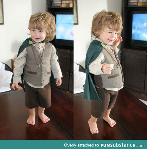 Awesome Hobbit costume